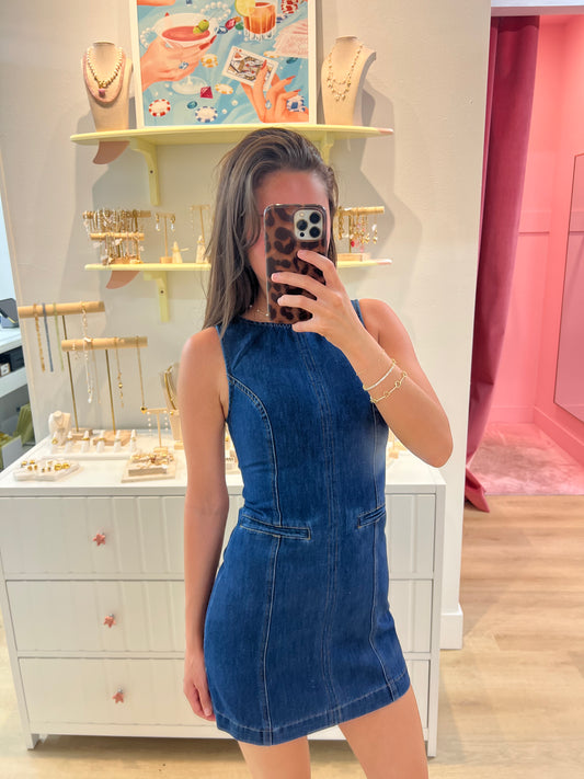 Elizabeth Denim Mini Dress