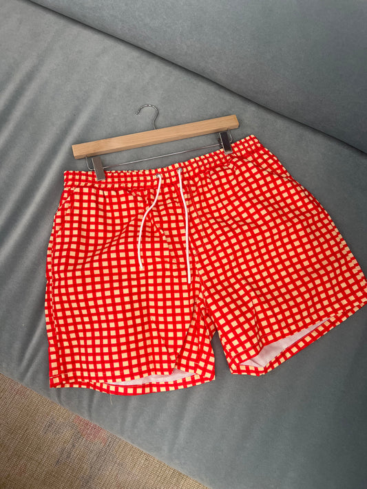 Red Gingham Swim Shorts
