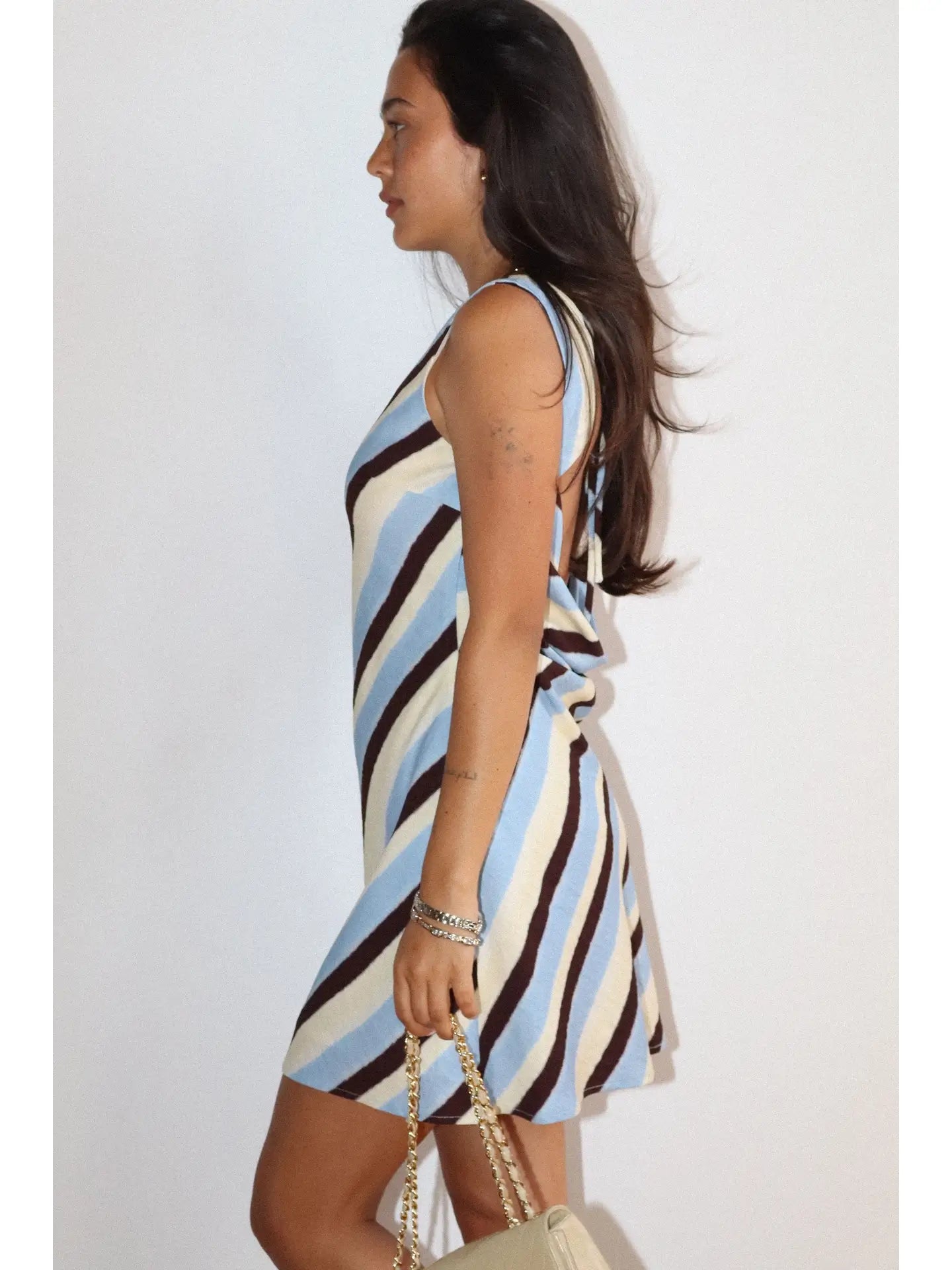 Aussi Stripe Mini Dress - BLUE/BROWN